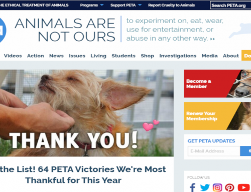 WordPress Development & Maintenance – PETA Foundation Websites